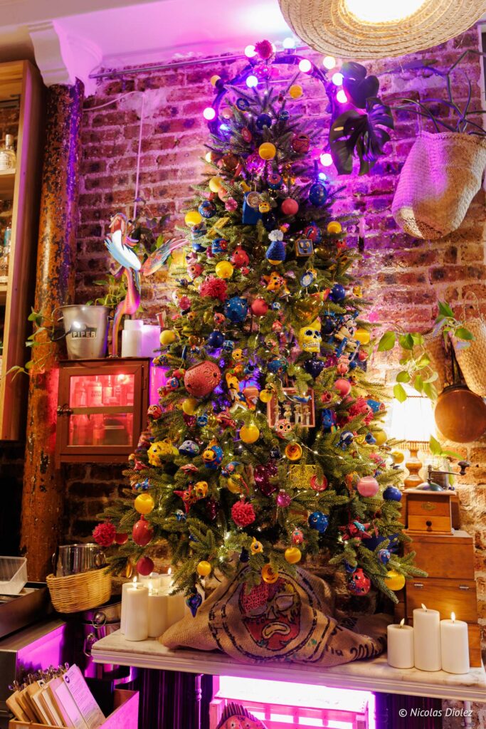 Alegrias DR Nicolas Diolez 2025 5