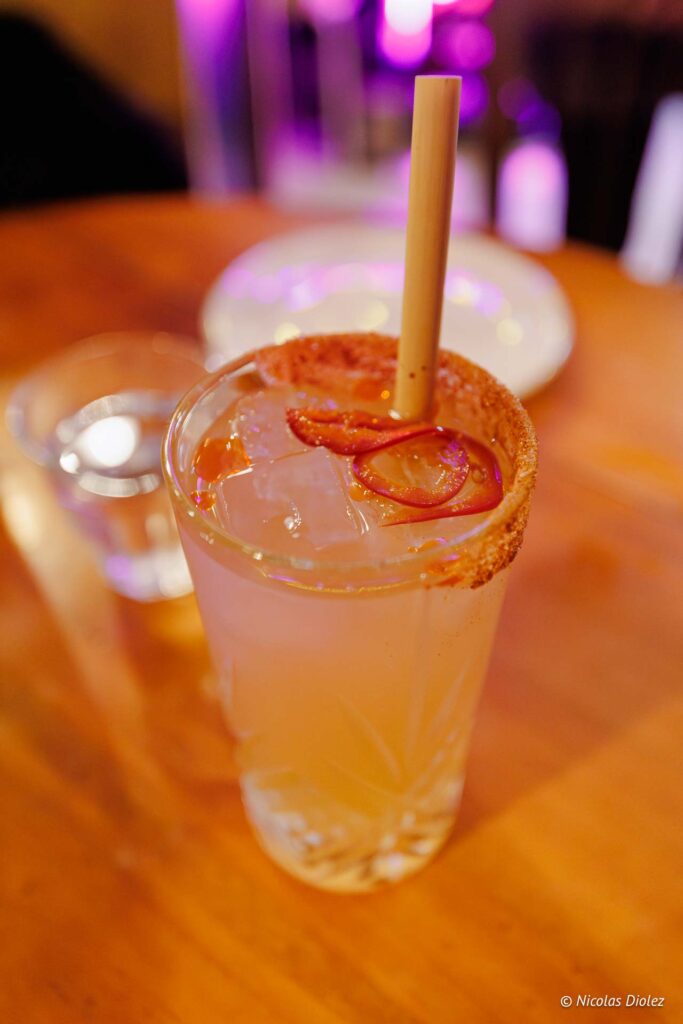 Alegrias DR Nicolas Diolez 2025 9