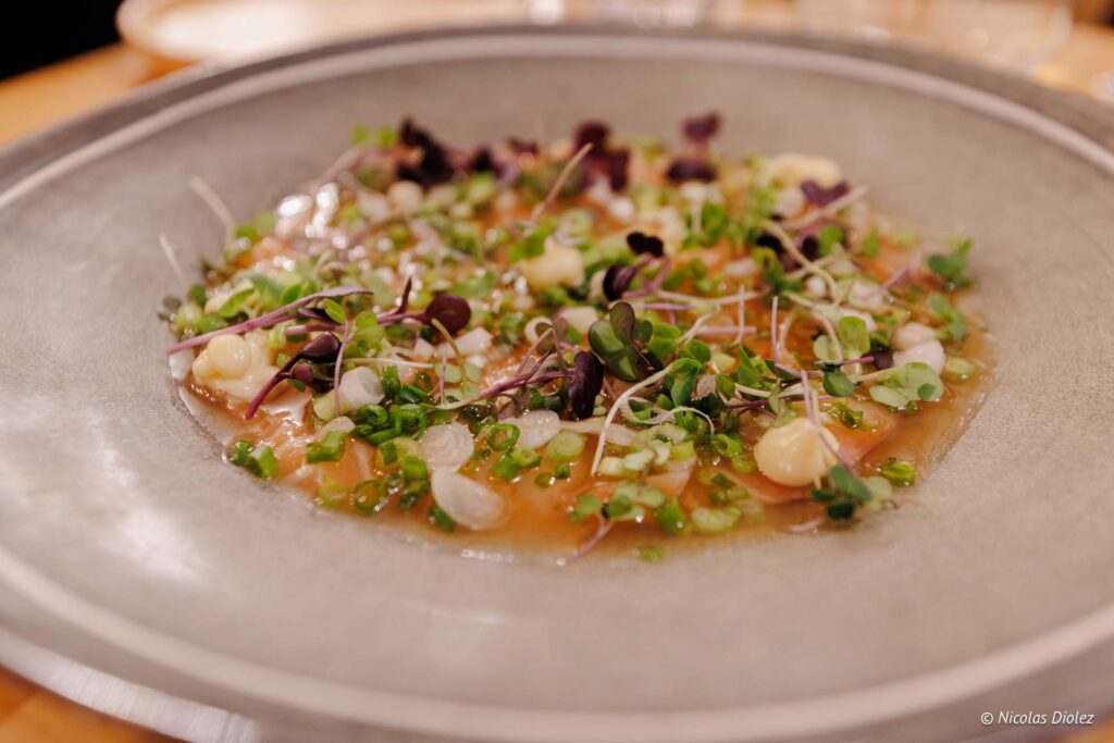 Audass Pierre Lambert DR Nicolas Diolez 2025 9