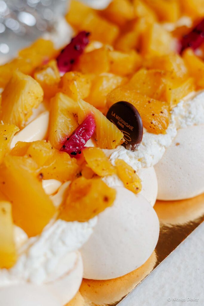 Meringaie buche DR Nicolas Diolez 2025 6