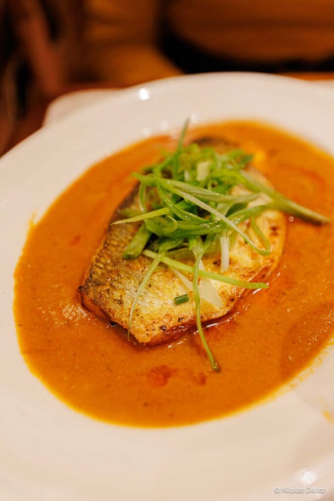 Mumbai Cafe Paris DR Nicolas Diolez 2025 18