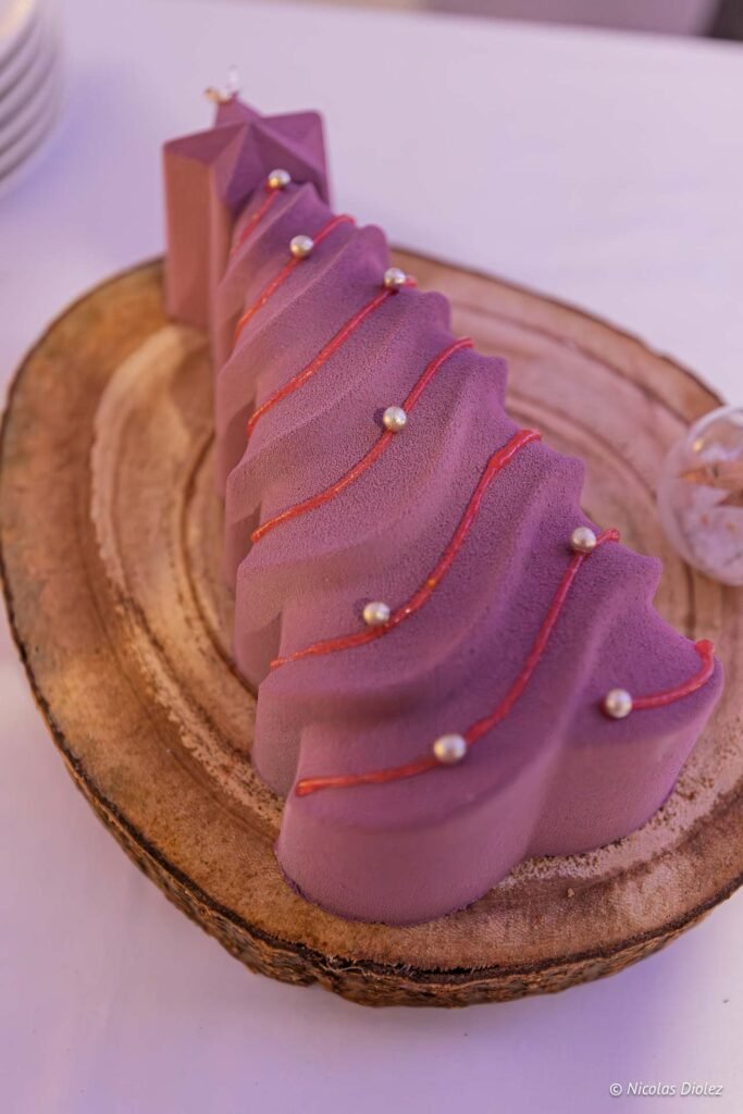 Ravi buches DR Nicolas Diolez 2025 5