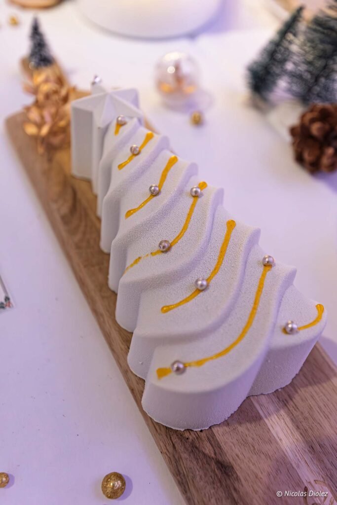 Ravi buches DR Nicolas Diolez 2025