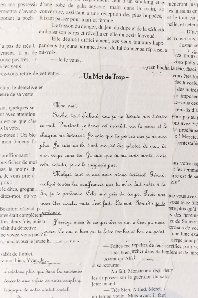 Book Nook mademoisellebonplan nicolas diolez 11