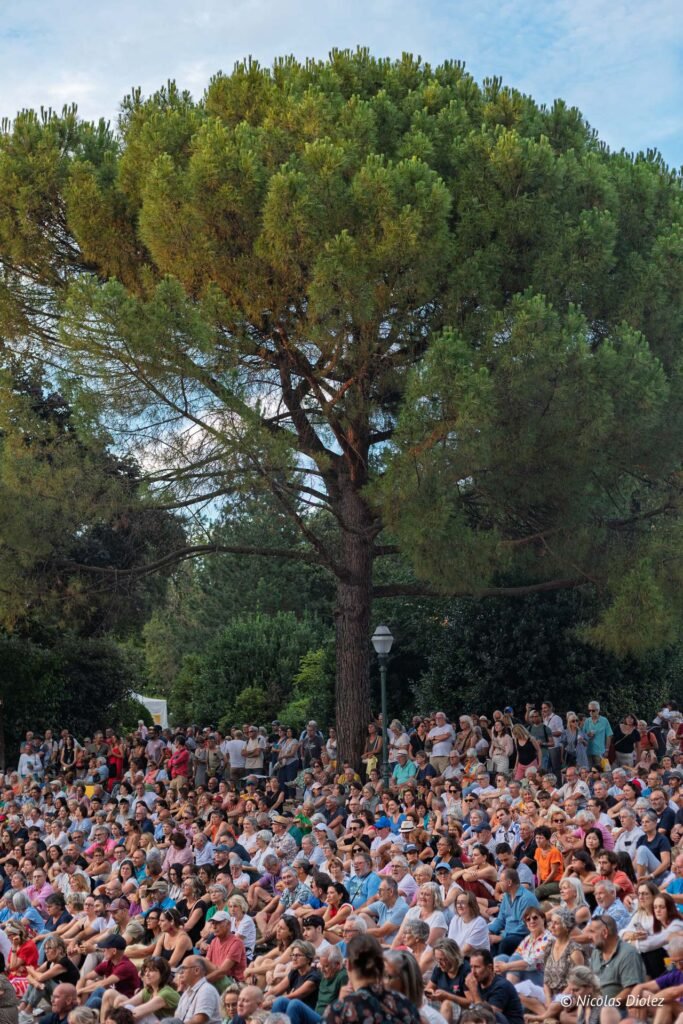 Cognac Blues Passion DR Nicolas Diolez 2025 5