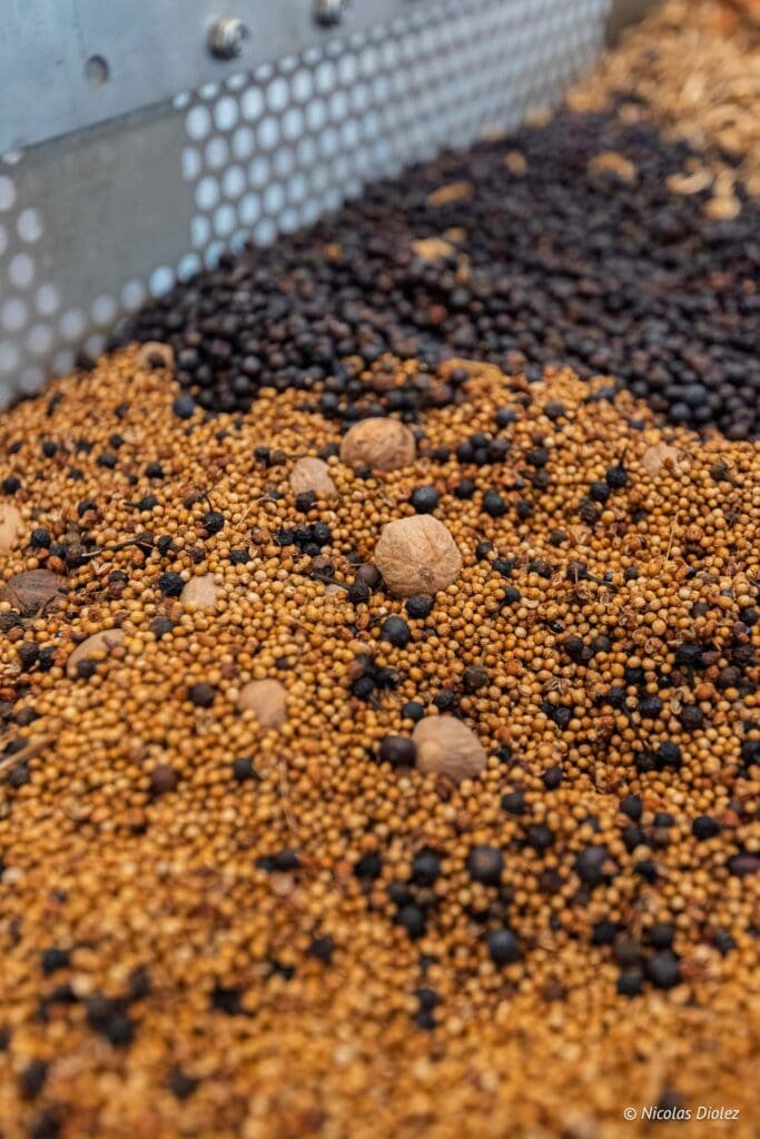 Gin Citadelle DR Nicolas Diolez 2025 14