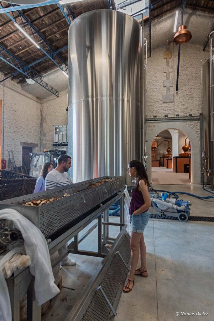 Gin Citadelle DR Nicolas Diolez 2025 15