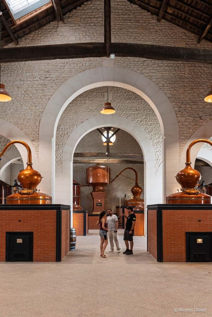 Distillerie Citadelle à Cognac avec alambics en cuivre et visiteurs.