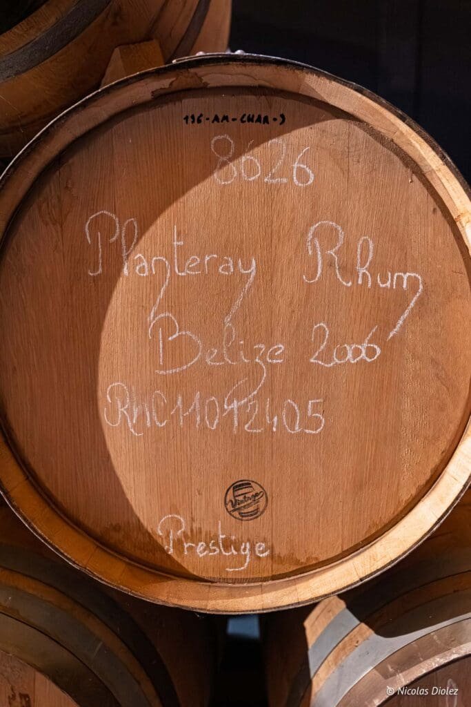 Gin Citadelle DR Nicolas Diolez 2025 40