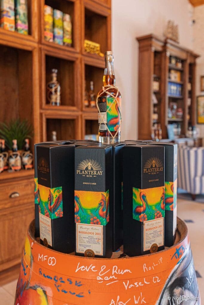 Gin Citadelle DR Nicolas Diolez 2025 61