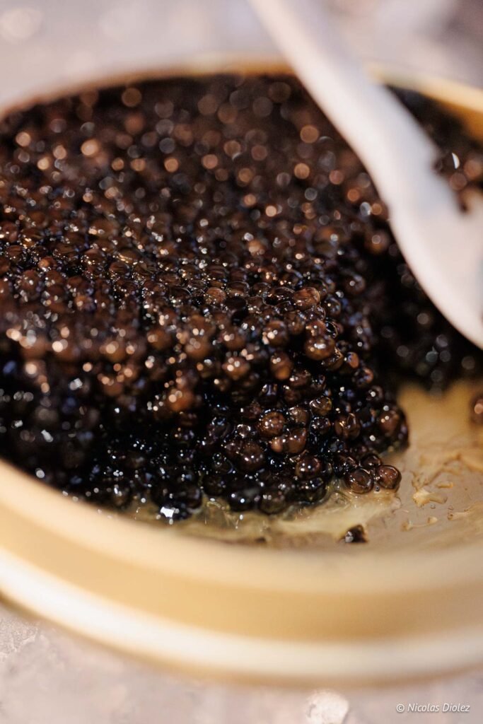 IGC Caviar Aquitaine Paris DR Nicolas Diolez 2025 17