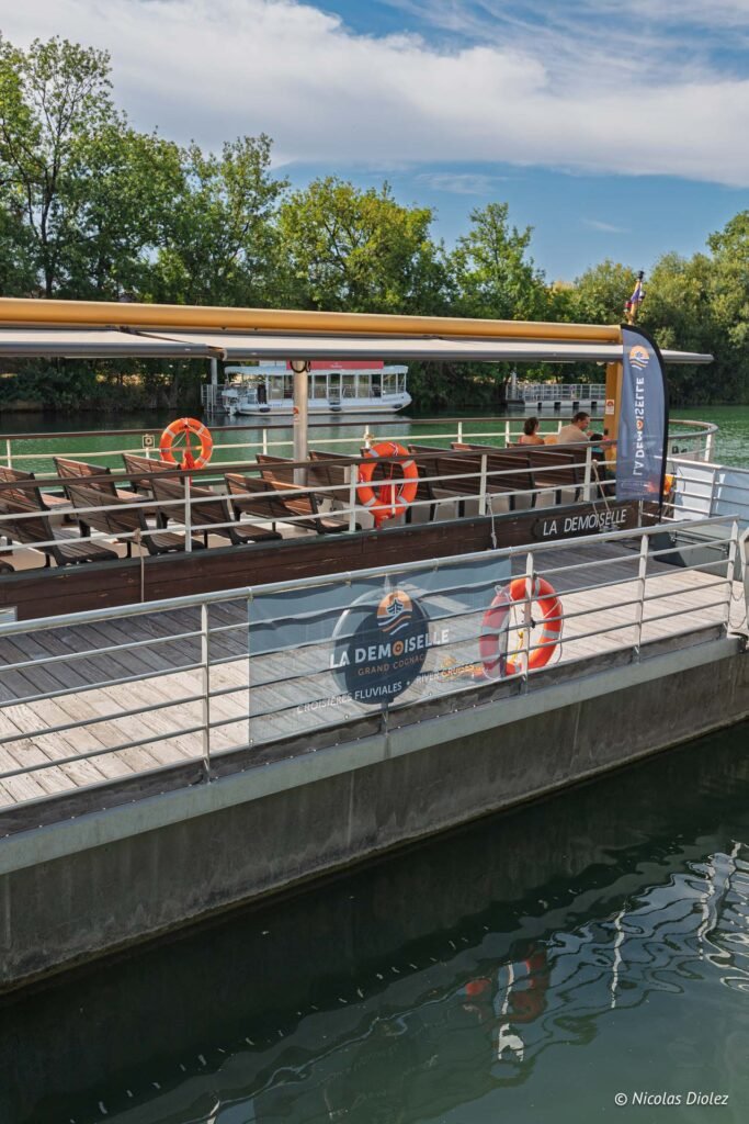 La Demoiselle Cognac DR Nicolas Diolez 2025 1