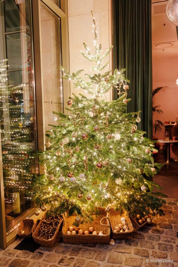 Pepite cookie DR Nicolas Diolez 2025 1