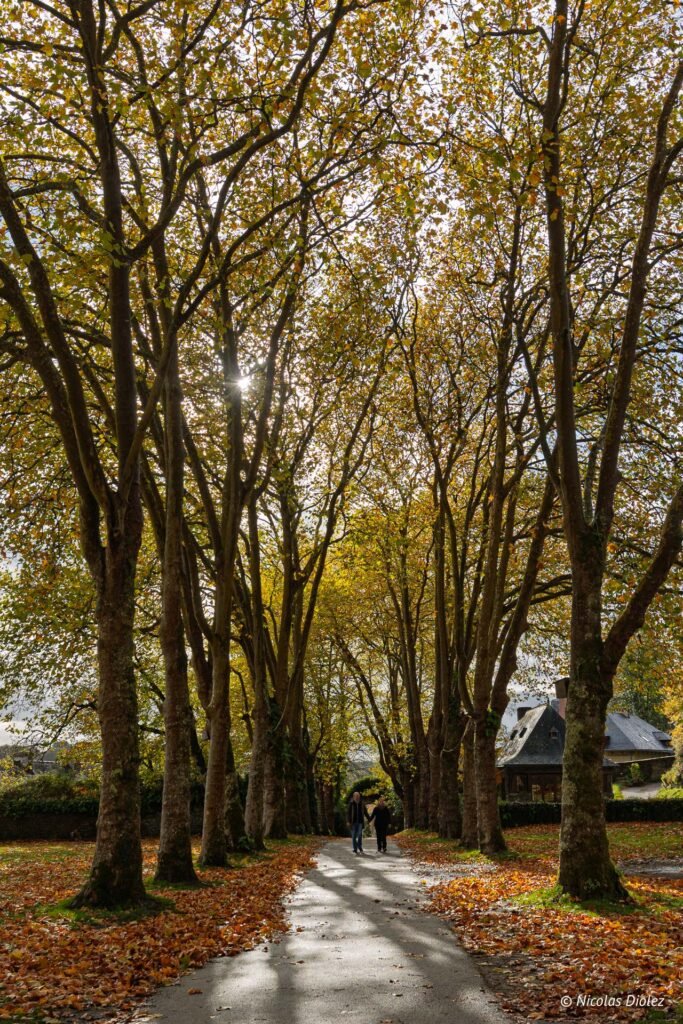 Allée d'arbres automnale près du Château de Rochefort-en-Terre avec deux personnes marchant.