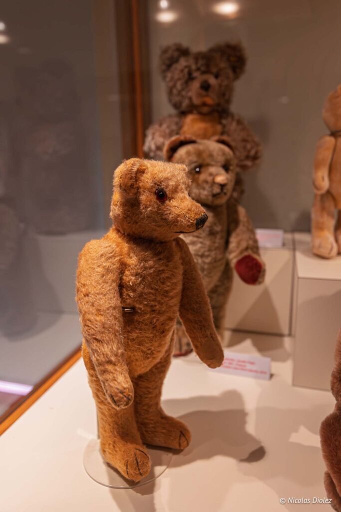 Ours en peluche anciens exposés, dont un brun roux au premier plan.