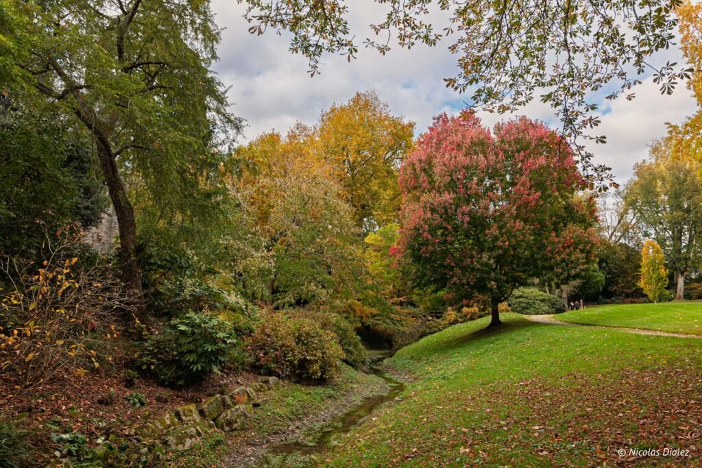 Parc d'automne avec ruisseau, arbres aux couleurs vives et pelouse au Château de Josselin.