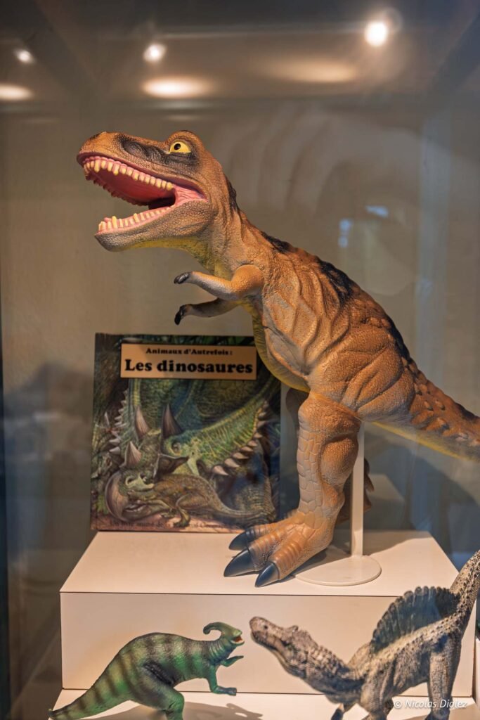 Figurine de Tyrannosaure près du livre "Les dinosaures" dans une vitrine.