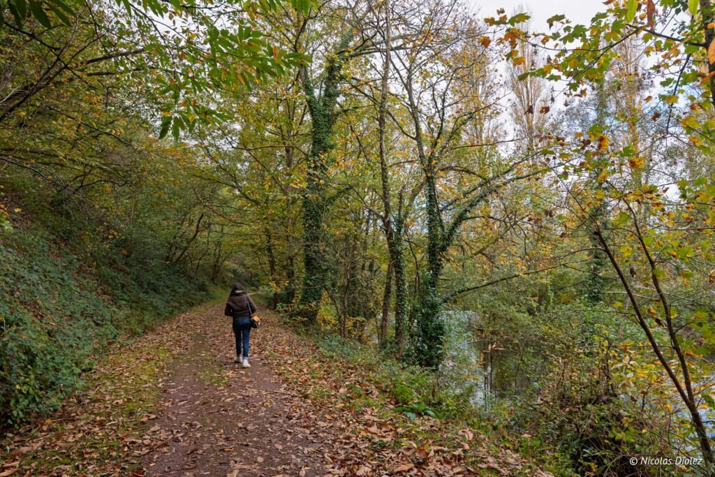 Randonneuse seule sur sentier forestier en automne près de l'eau, Josselin.