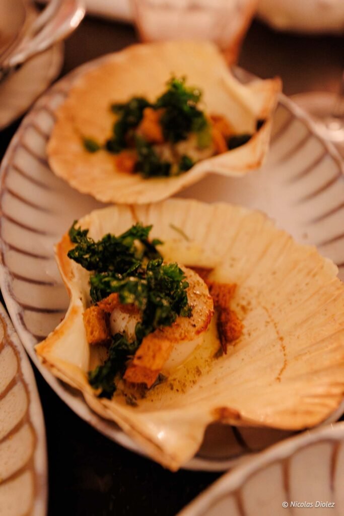 Noix de Saint-Jacques grillée aux croûtons et herbes dans coquille.