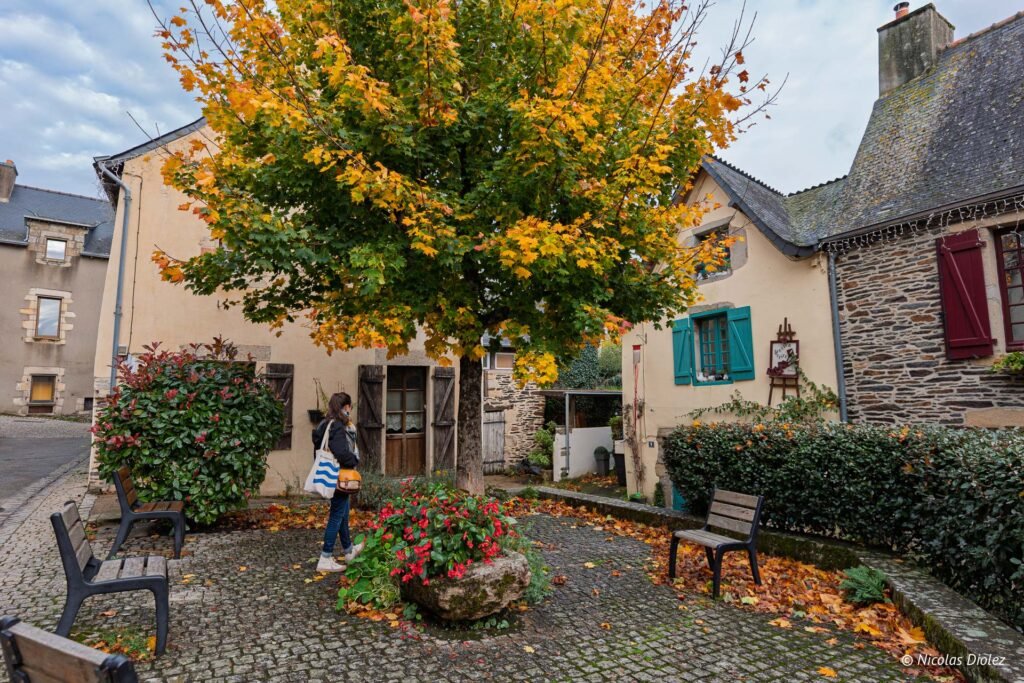 Rochefort-en-Terre automnal, femme marchant près d'un arbre aux feuilles jaunes et maisons anciennes.