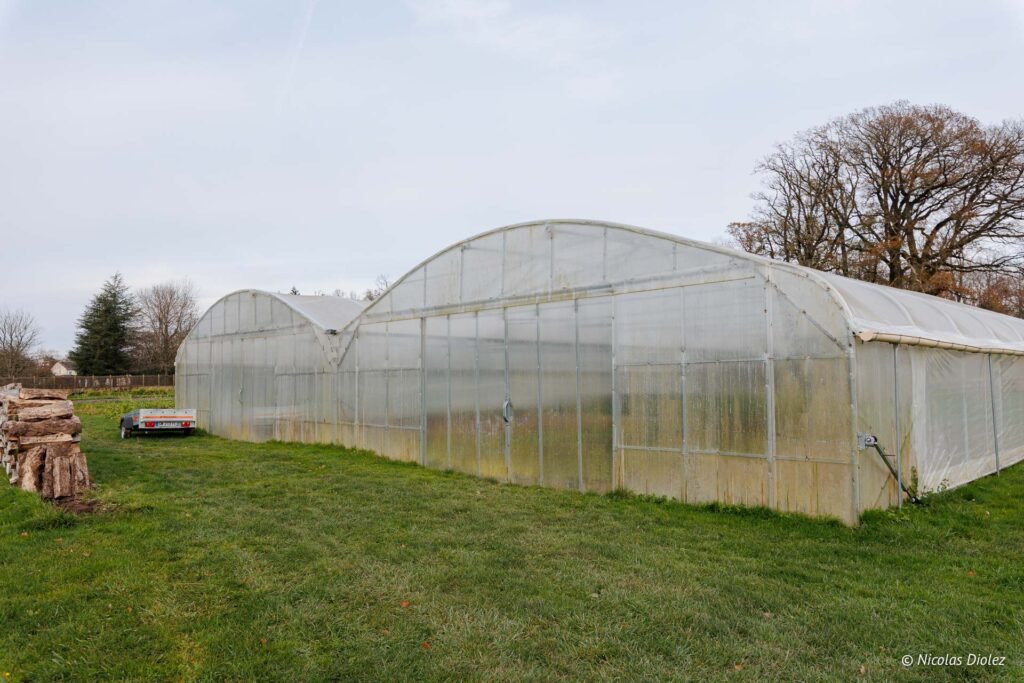 Serres agricoles sur l'herbe près du Domaine de Ligneronnes.