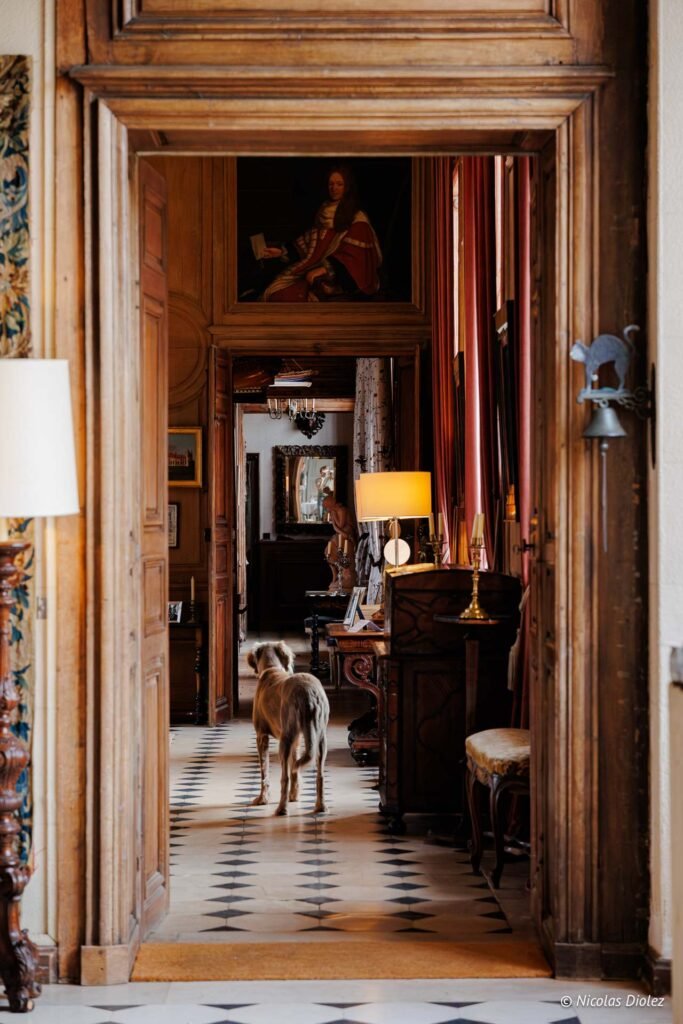 Chien marchant dans un couloir boisé du Château de la Rivière sur un sol à damier.