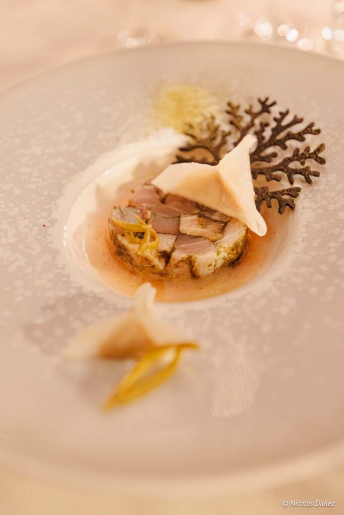 Terrine gastronomique présentée sur une assiette blanche au Château de la Rivière.