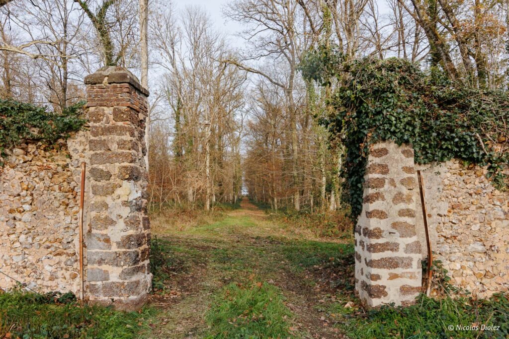 Entrée du parc du Château de la Rivière, allée forestière bordée de murs en pierre.