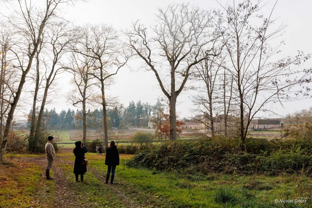 Promenade dans le parc du Château de la Rivière en automne.
