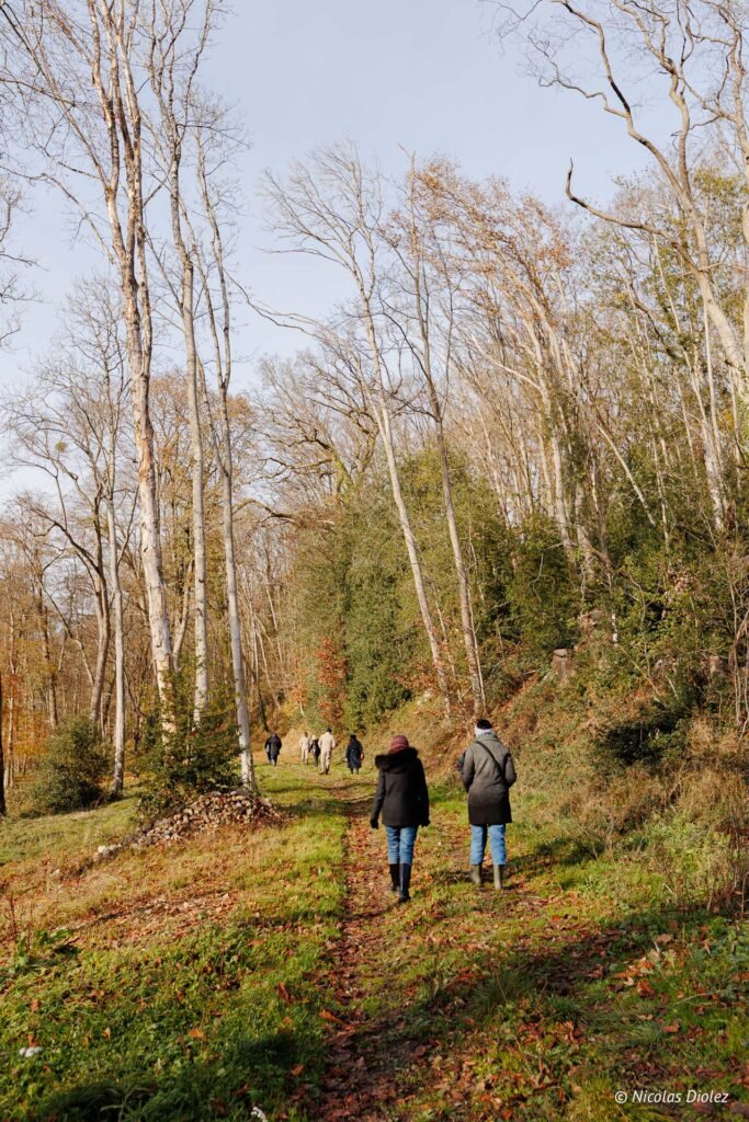 Randonnée automnale dans le parc du Château de la Rivière.