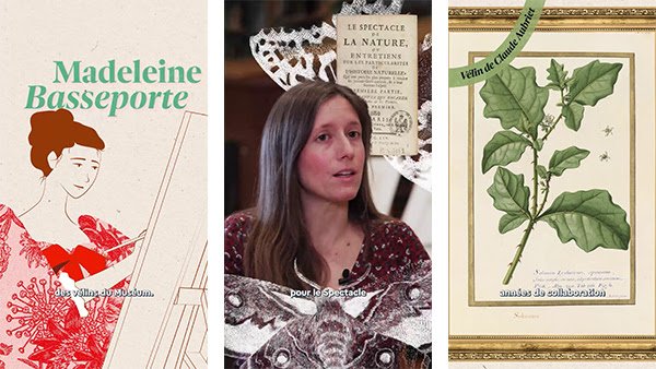 Série de vidéos du Muséum national d'Histoire naturelle mettant à l'honneur l'artiste Madeleine Basseporte.