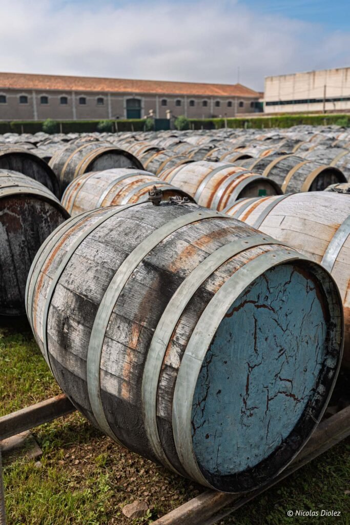 Fûts de chêne vieillissant en plein air à la Maison Noilly Prat pour la maturation du vermouth.
