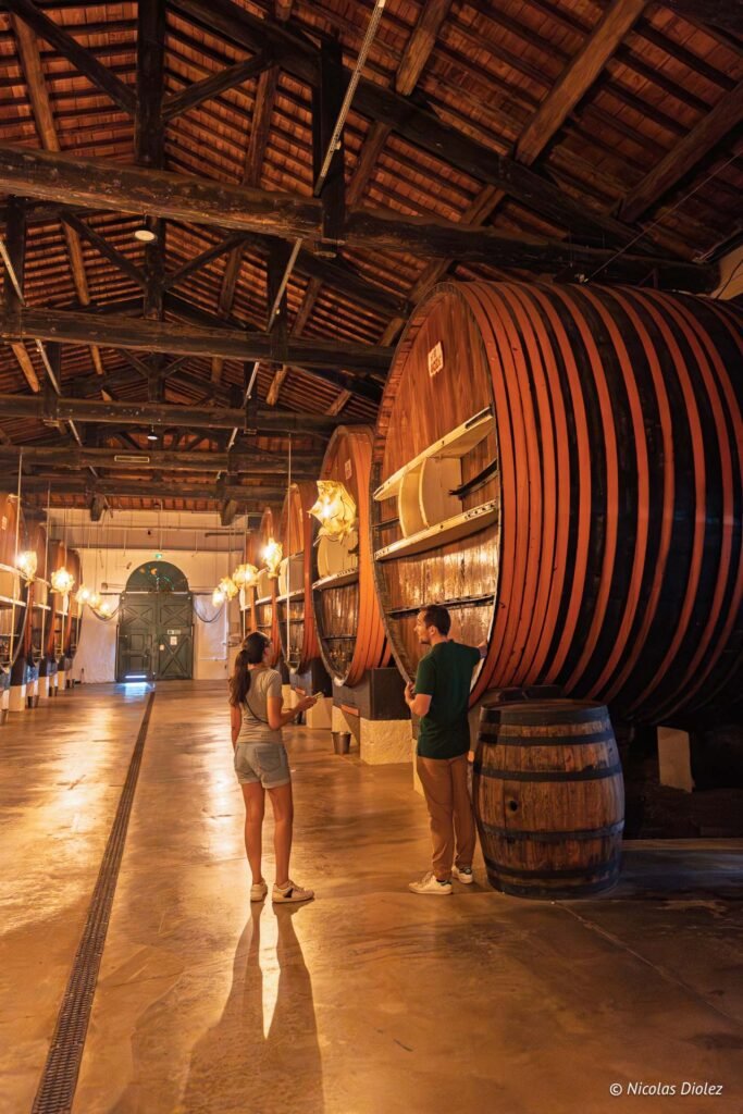 Visiteurs admirant les grands foudres en chêne dans les chais historiques de la Maison Noilly Prat.