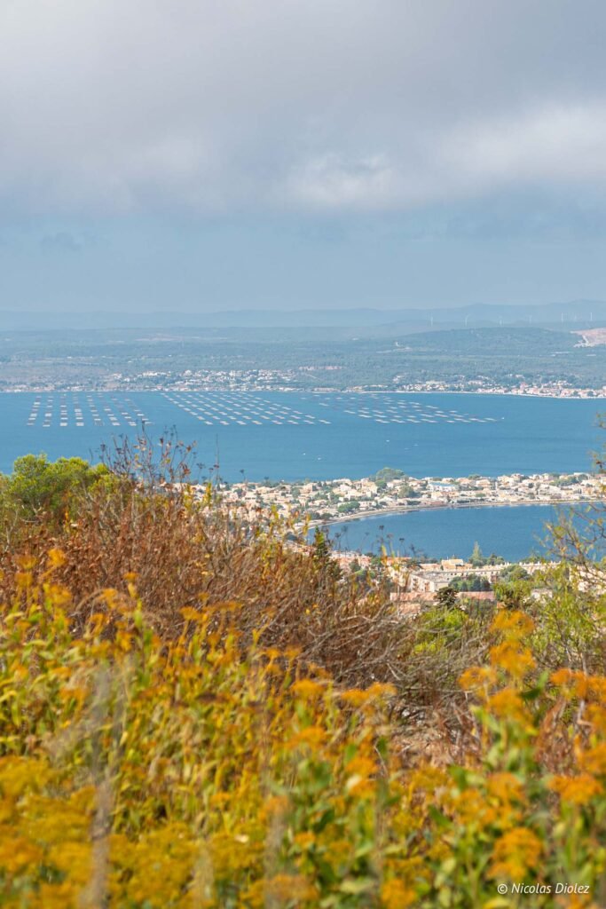 Panorama depuis le Mont Saint-Clair sur l'étang de Thau et les parcs à huîtres de Sète.