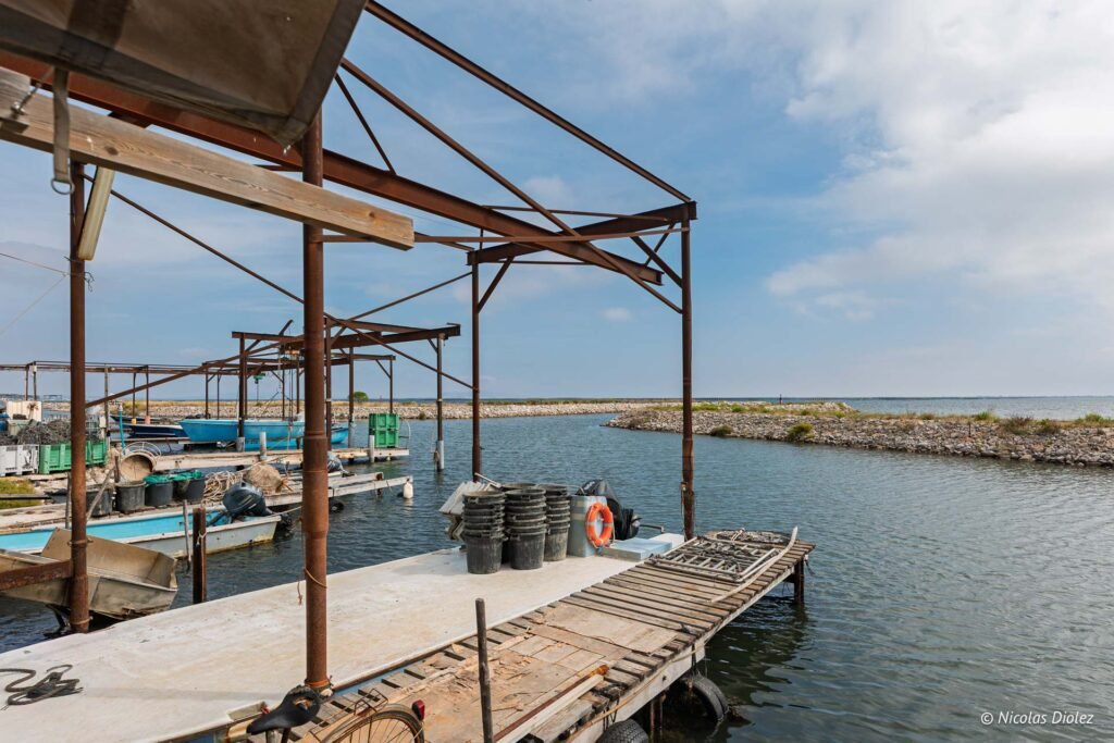Ponton en bois avec matériel ostréicole au bord de l'étang de Thau à Mèze, France.