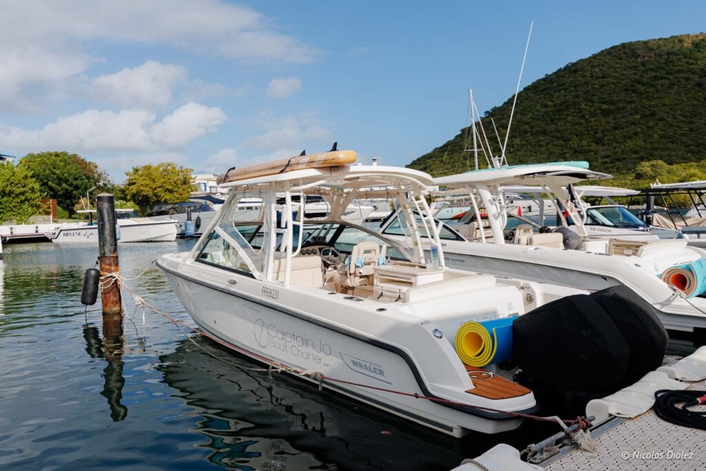 Bateaux d'excursion Captain Jo amarrés dans un port à Saint-Martin avec des collines verdoyantes en arrière-plan.