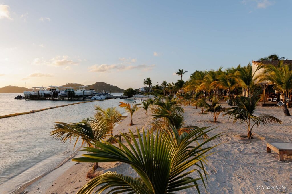 Plage tropicale avec palmiers et bateaux amarés au loin à l’Hommage Hotel à Saint-Martin.