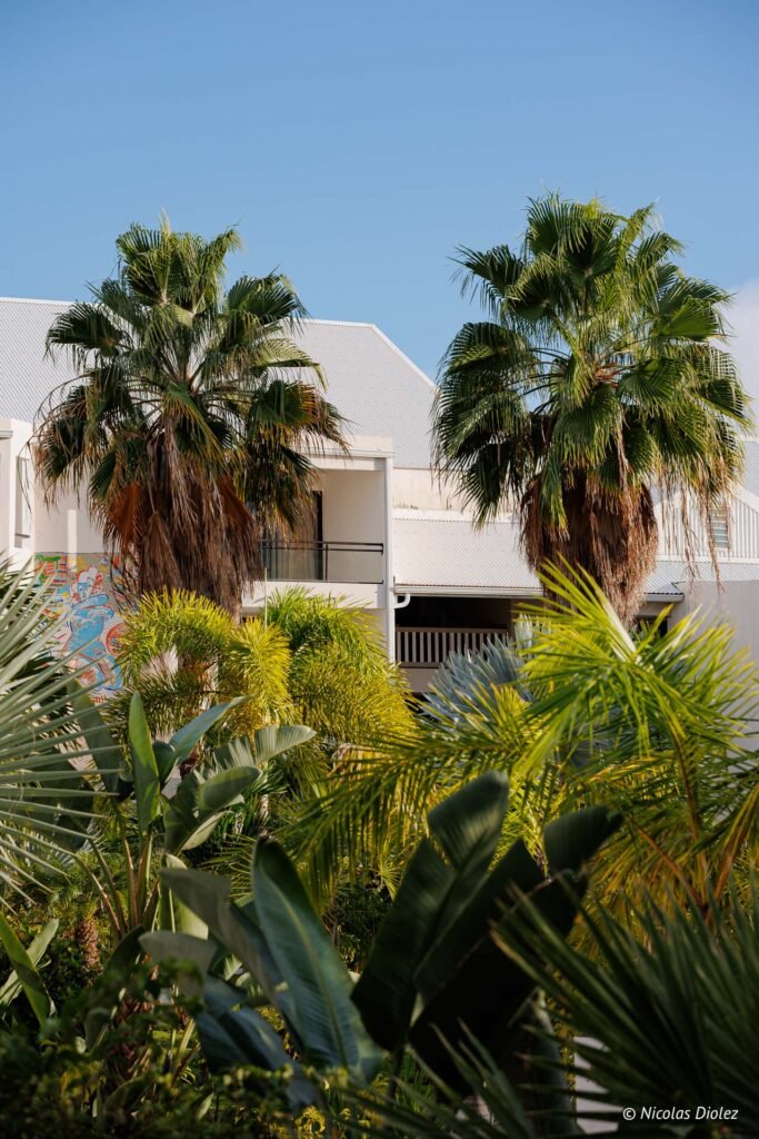 Palmiers et végétation tropicale devant un bâtiment blanc à Saint-Martin sous un ciel bleu.
