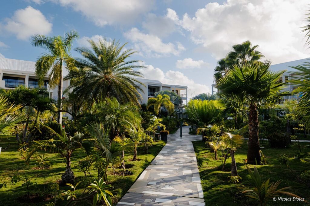Allée dallée entourée de palmiers et de végétation tropicale luxuriante menant aux bâtiments de l'Hôtel Hommage Saint-Martin.
