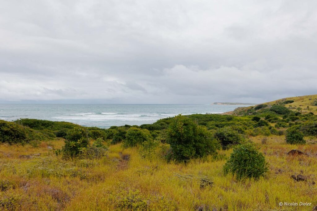 Paysage sauvage de l'îlet de Pinel sous un ciel nuageux, avec végétation côtière et mer agitée.
