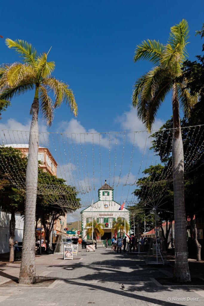 Rue piétonne animée encadrée de palmiers à Philipsburg, partie hollandaise de Saint-Martin, avec le palais de justice en arrière-plan.