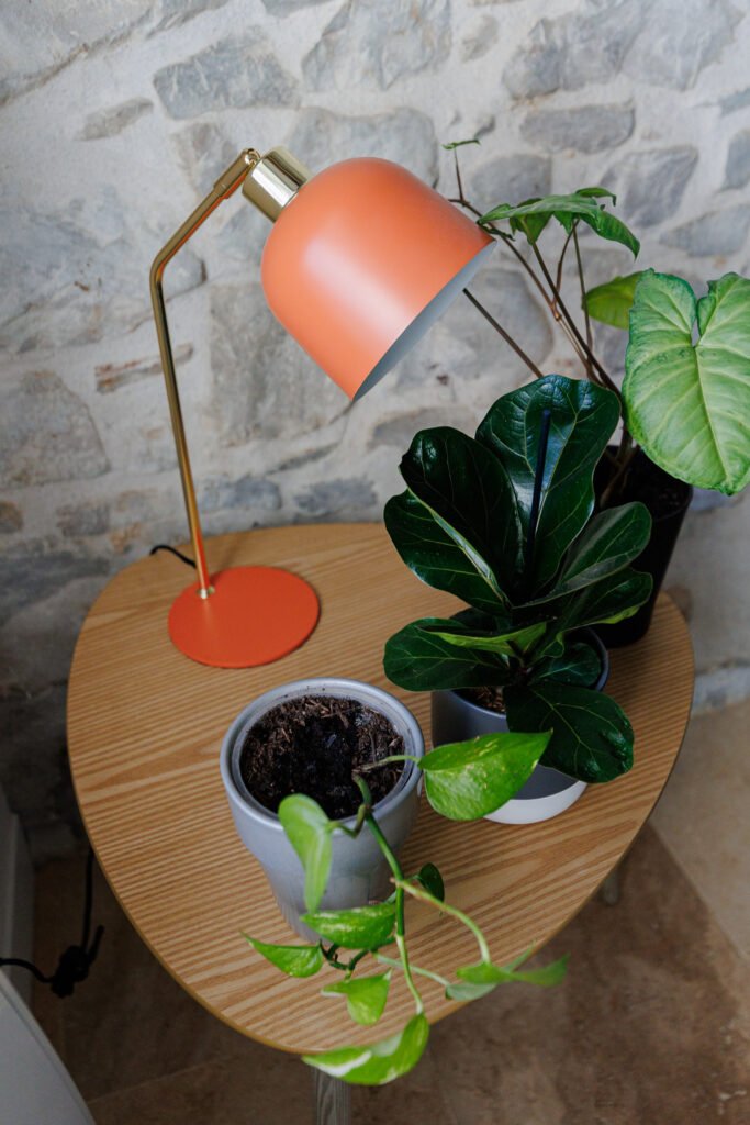 Small wooden coffee table with green plants and a designer orange lamp against a stone wall background.